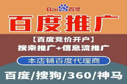百度推广成功案例：打造行业领军品牌之路